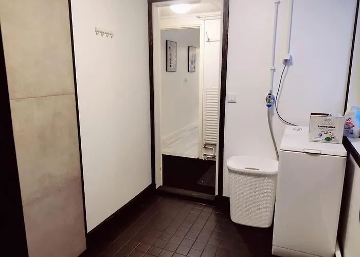 Yksioe Omalla Puusaunalla 库萨莫